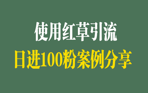 使用红草引流日进100粉案例分享
