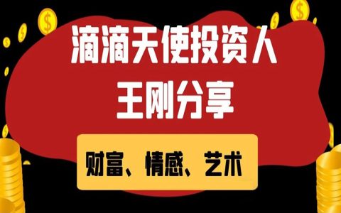 滴滴天使投资人王刚关于财富、情感、艺术的分享，非常值得一读