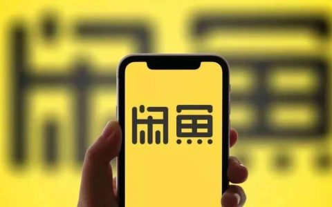 闲鱼无货源赚钱实战教程：轻松日入几百，新手也能快速上手！