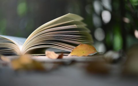 低粉号高变现玩法