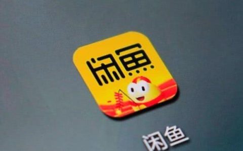农村青年翻身逆袭，闲鱼项目百万经验分享