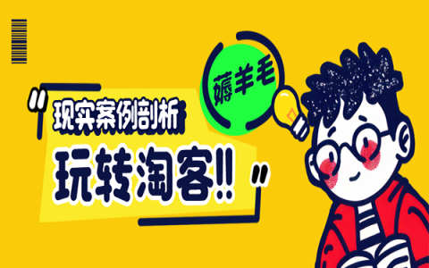 日常淘客赚钱案例分析