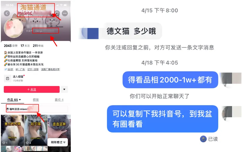 宠物活体项目，1年单号变现32w，保姆级教程