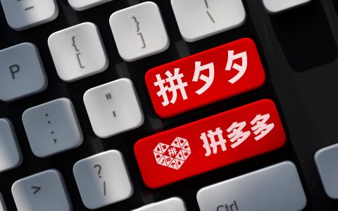 拼夕夕无脑搬运项目，单号月入3000+