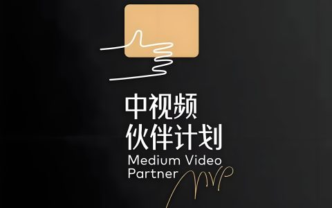 中视频计划，用Ai搬运月入8000+