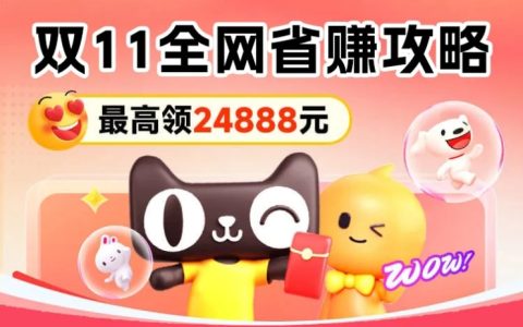创造百倍收益，借力双11引爆收入点！