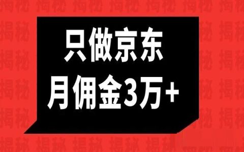 都说消费降级，为什么一个淘客粉丝，只做京东，月佣金3万多？