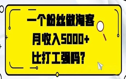 一个粉丝做淘客月收入5000+，比打工强吗？