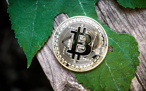 我的100枚比特币