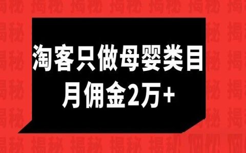 一个粉丝专注做母婴类目，淘客月佣金2万3