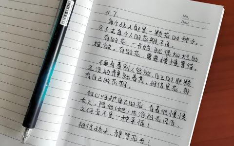 抄书就能带来收益的项目，实操日收益200+