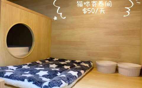 轻创业项目，宠物行业冷门市场--宠物寄养