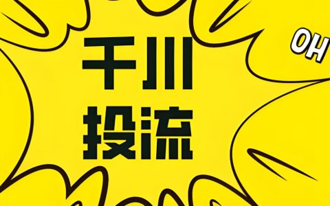 一人公司，用聚光投放，一年时间，从小红书加了4W客户，深度复盘