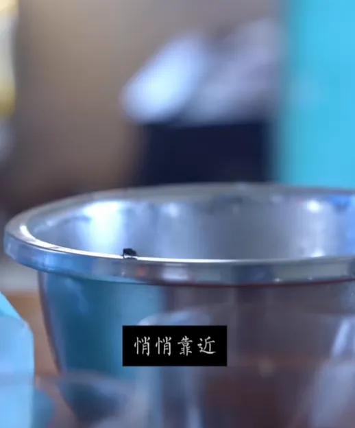 被我们忽略的赛道，竟然藏着大流量！
