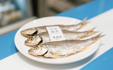 闲鱼无货源项目：月入1.5W+的选品秘籍大公开！