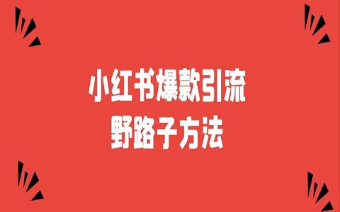 小红书爆款引流野路子方法