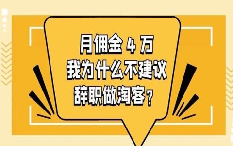 做淘客月佣金 4万，我为什么不建议他辞职做淘客？