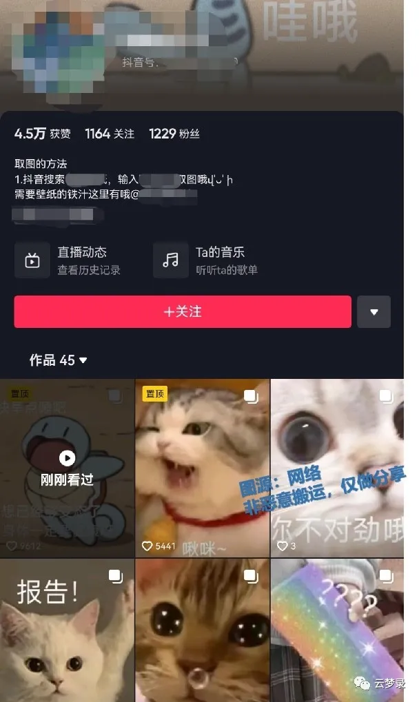 表情包也能赚钱？有人竟然靠表情包搬运，最高一天收入2000+