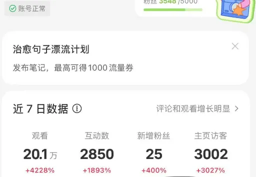 发了300篇笔记赚了不到300块，我做小红书虚拟资料踩过的坑