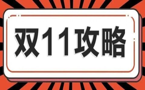 创造百倍收益，借力双11引爆收入点！！