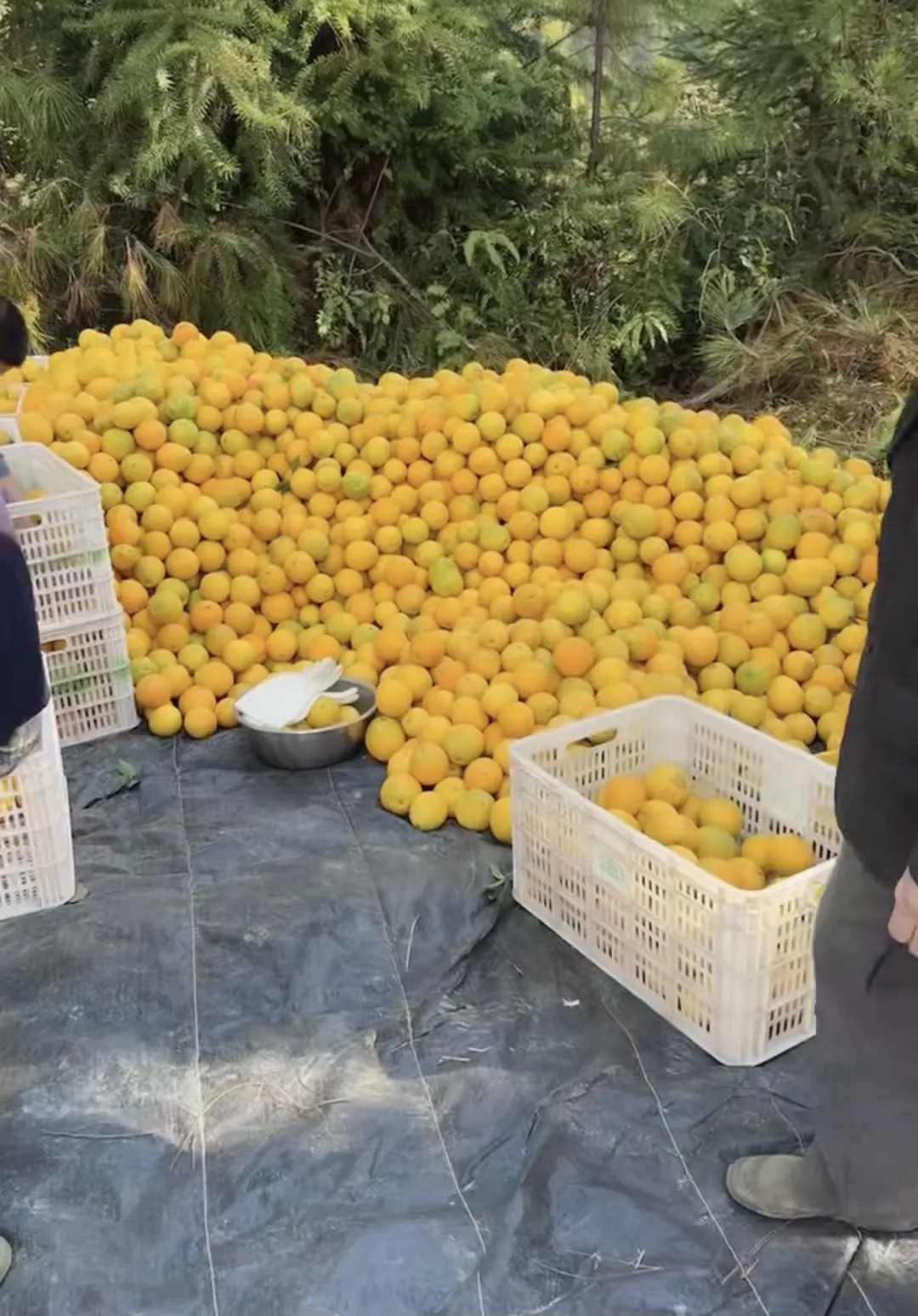 从凛冬到暖春：高佣联盟如何让负债累累的人重获选择权
