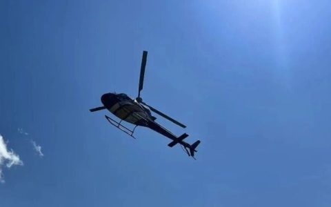 老胡的2025总结
