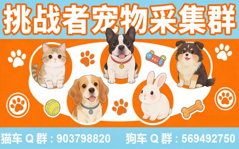 挑战者宠物爆品精推社群