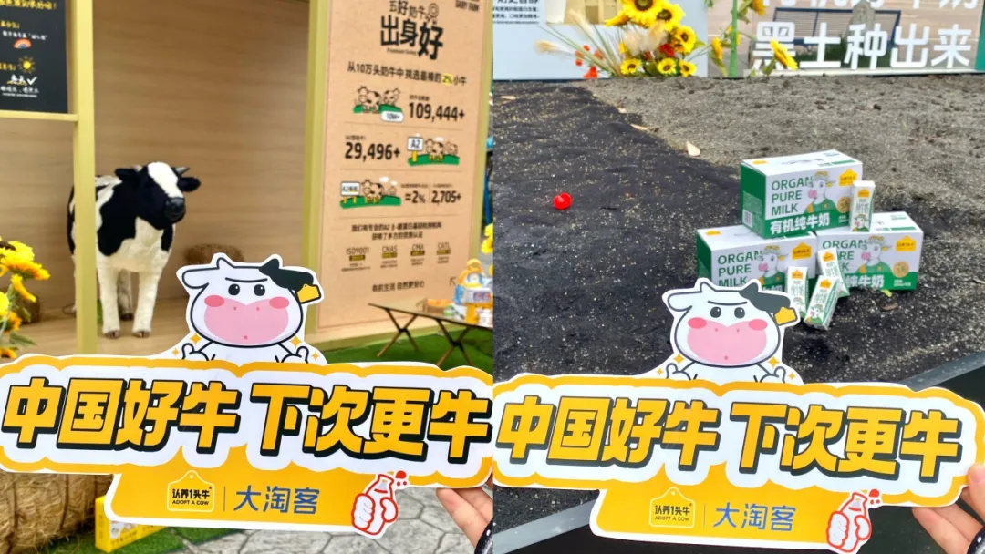 溯源活动｜大淘客山城寻“牛”，认养好货高佣开推！