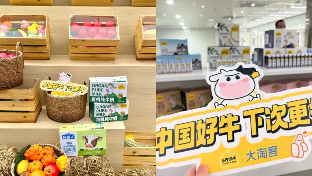 溯源活动｜大淘客山城寻“牛”，认养好货高佣开推！